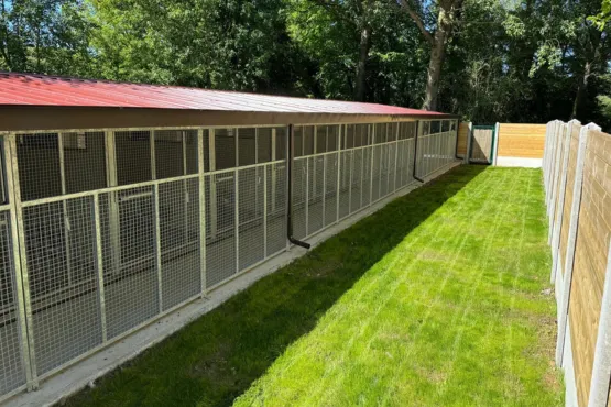 tarif et paiement domaine de carency service pension canine chenils